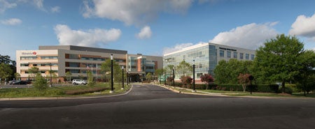 Orthopaedics - North Raleigh
